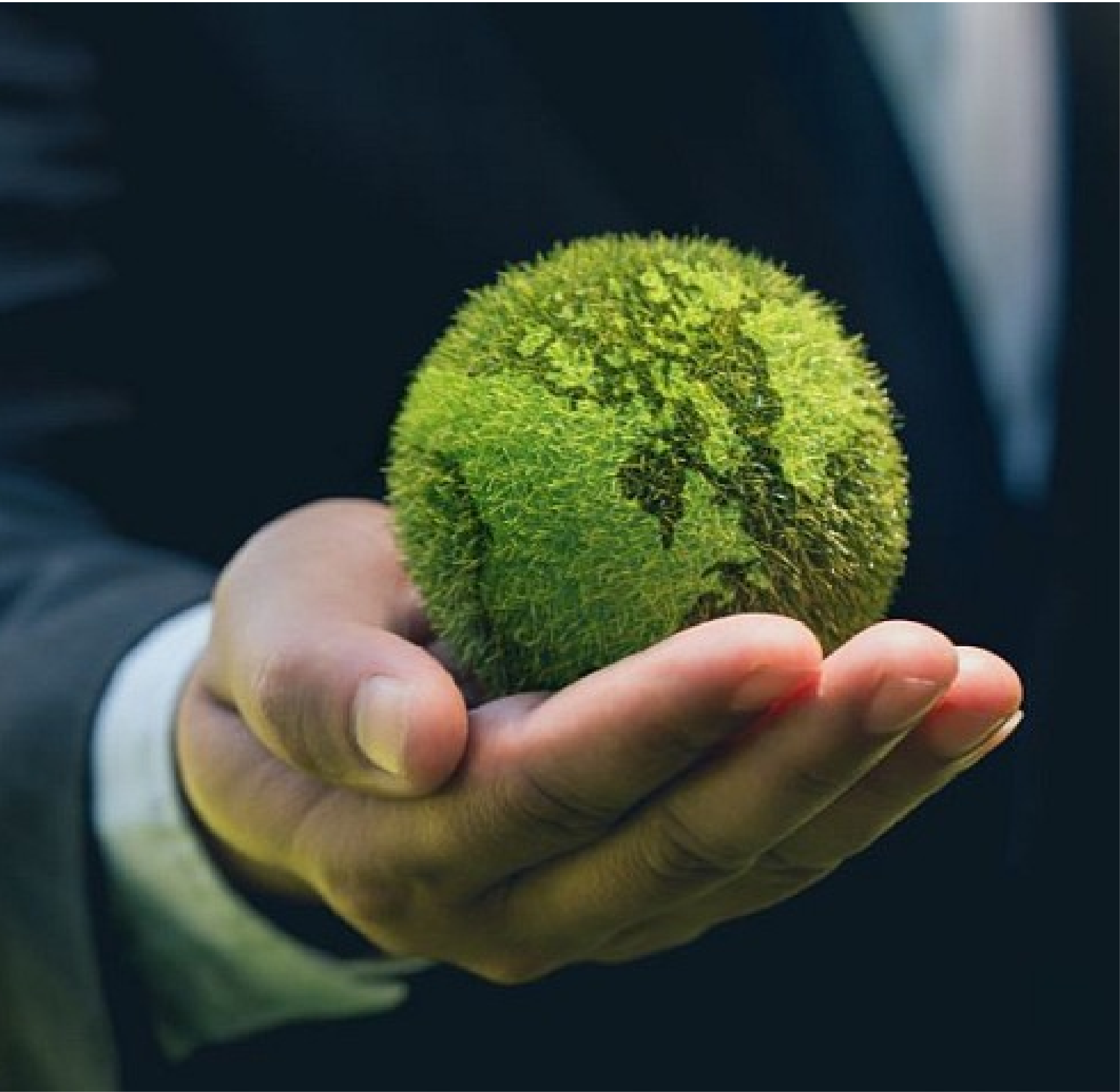 Publicidad consciente: apoya una causa